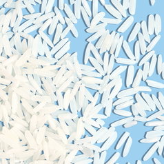 Bio Basmati Reis